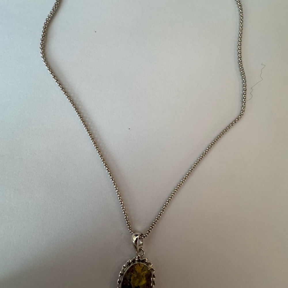 Elegant Sterling  Silver Pendant Necklace With Encased wildflowers